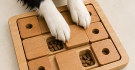 Close-up of dog solving a sliding-tile puzzle board with treats hidden under movable pieces
