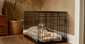 A sturdy wire dog crate with a soft blanket