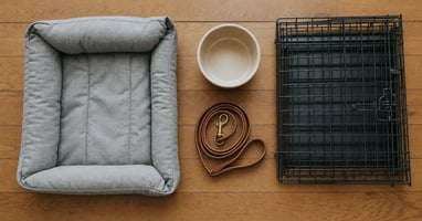 A flat-lay of essential dog gear — bed, bowl, lead and crate